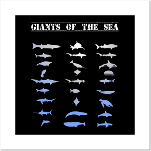 Giants of the sea shalk dolphin orca killer whale aquatic animals big turtle. Posters and Art